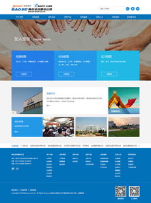 南京寶色股份公司 工業(yè)制造 機械制造 企業(yè)宣傳 案例展示 硅峰網絡 網站設計 軟件開發(fā) 微信建設,西安最專業(yè)的企業(yè)信息化建設網絡公司